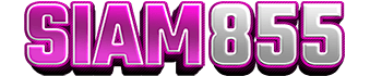 SIAM855